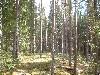 2003_0517_8 R2 3.jpg